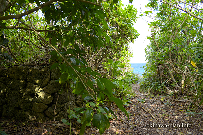 久高島の林の中で見つけた石垣（左下）