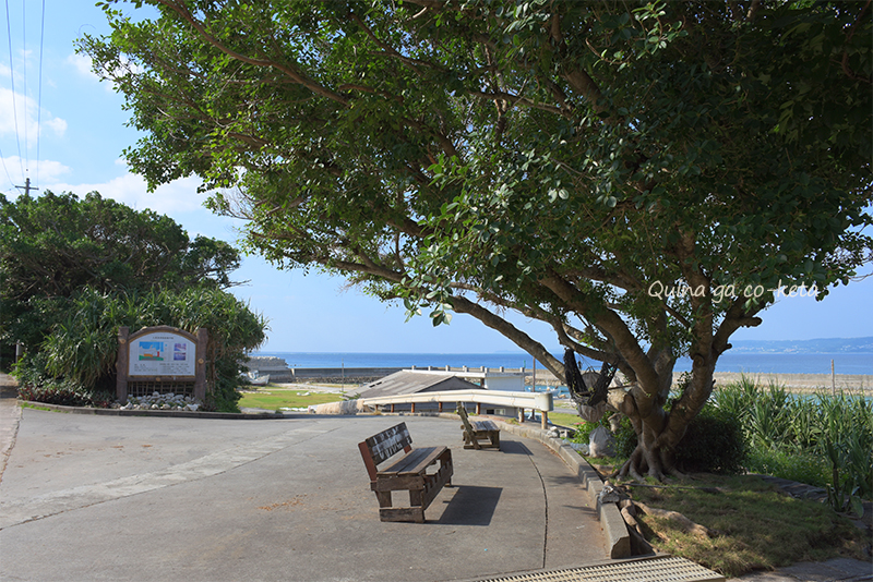 12月の沖縄とは思えない青い海と青い空