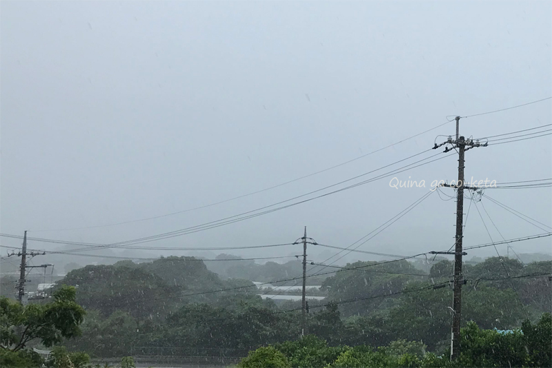 梅雨真っ只中の今帰仁村（2022年5月）