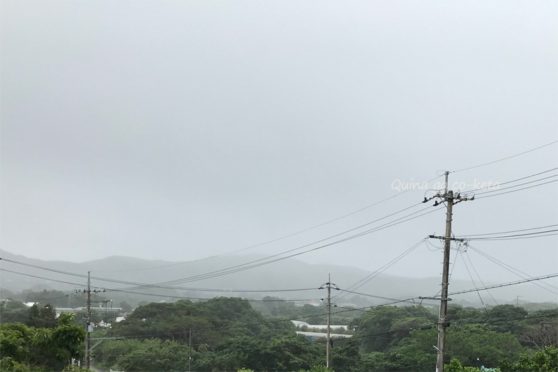 沖縄滞在11日目、雨上がりの今帰仁村