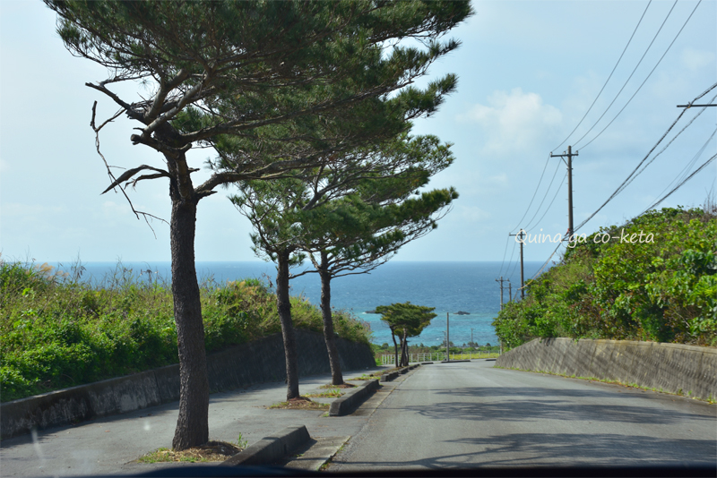 伊良部島にはそこかしこに青い水平線が