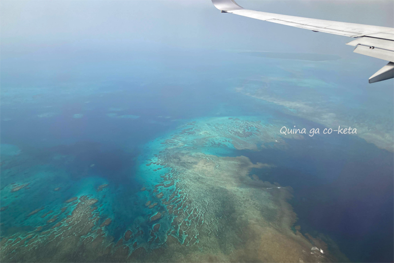 石垣島行きの飛行機から見えた珊瑚礁の海