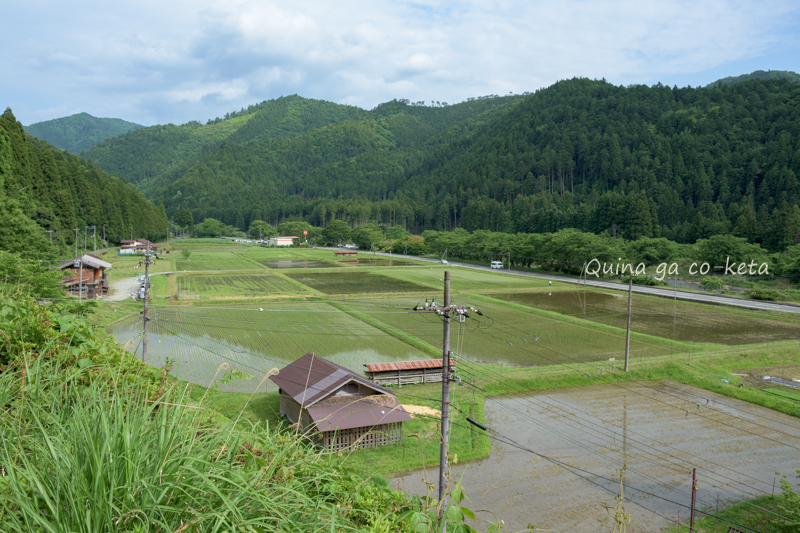 京都美山の田園風景（2023年旅行振り返り）
