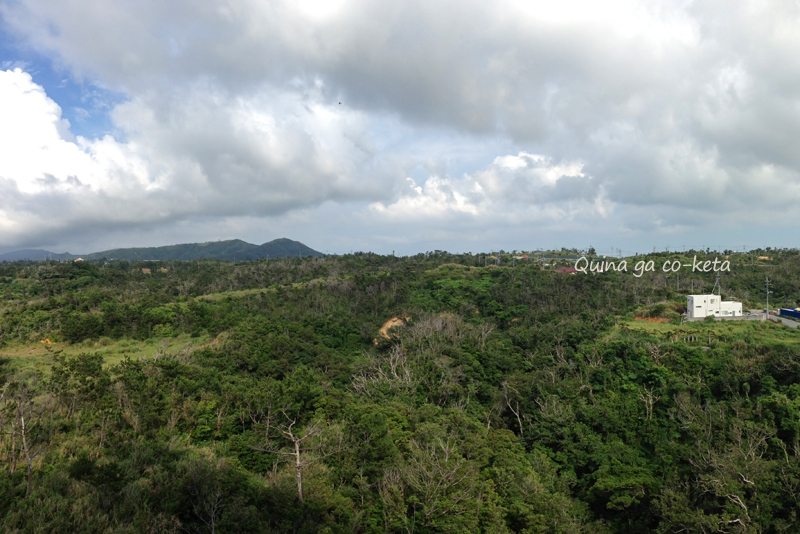 梅雨入り前の沖縄旅行（2015/5/17-16:17恩納村の南東の空模様）