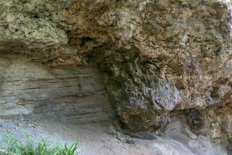 ティンダバナで見た古い地層と琉球石灰岩の境目 ティンダバナで見た古い地層と琉球石灰岩の境目