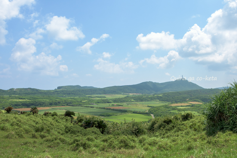 ダティグチディ近くから見渡す田畑の風景(与那国島) ダティグチディ近くから見渡す田畑の風景(与那国島)