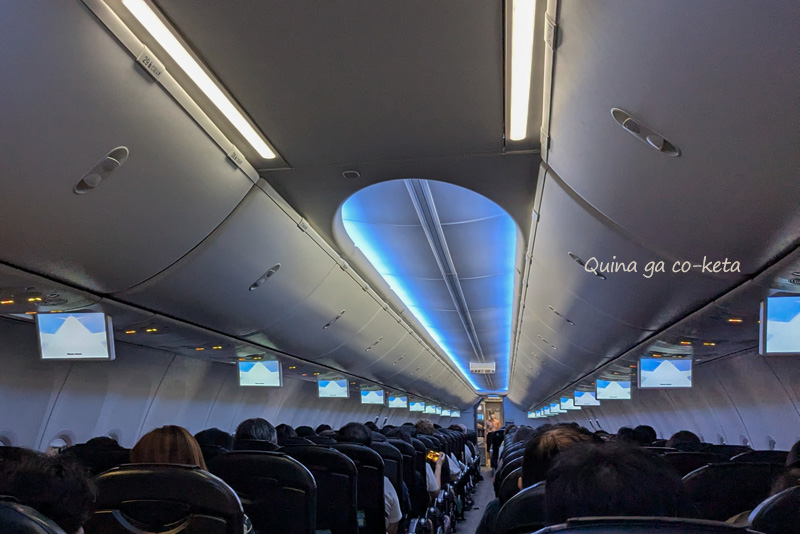 新石垣空港発JTA86便の機内 新石垣空港発JTA86便の機内