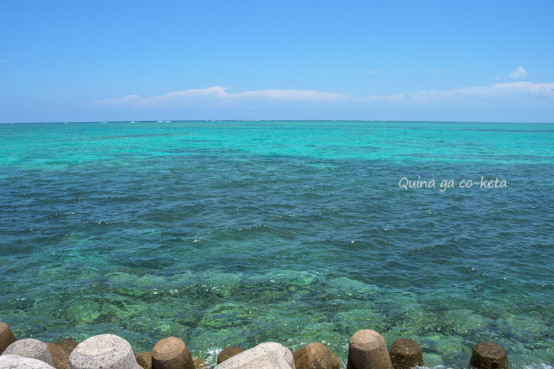 南ぬ浜町緑地公園で見た海 南ぬ浜町緑地公園で見た海
