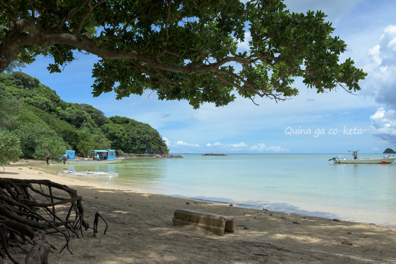 底地ビーチの木陰でボーッと 底地ビーチの木陰でボーッと