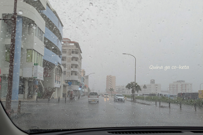 雨の日の石垣島 雨の日の石垣島